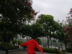 -南宁南湖公园