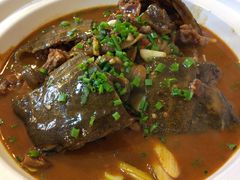 荆沙甲鱼-龙小海荆沙鸽子店(瑞安街店)