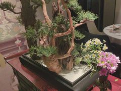 -顺峰(农展馆店)