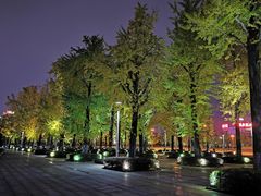 -百林公园-两江幸福广场