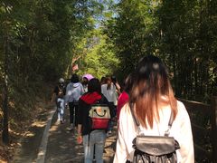 -广州市流溪河国家森林公园