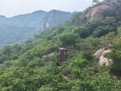 -大岭沟猕猴桃谷风景区