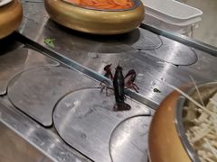 -川锅·火锅·烤肉自助餐厅