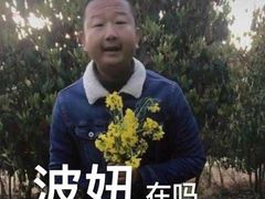 -初心炒酸奶(厚德品园店)