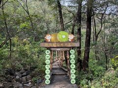 -大岭沟猕猴桃谷风景区