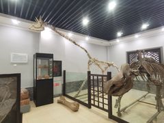 -游龙石文化科普馆