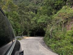 -海南热带雨林国家公园吊罗山景区
