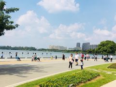 -暨阳湖生态园