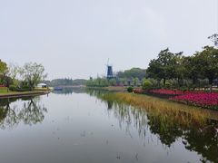 -上海鲜花港