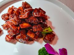 -月湖翠·上海菜(思南公馆淮海店)