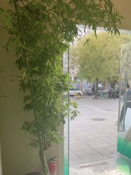 -卡尔诗·科技美肤连锁