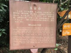 五云山-西湖风景区十里琅珰-五云山