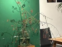 -一坐一忘云南菜(嘉里中心店)