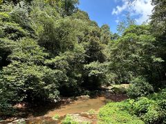 -中国大熊猫保护研究中心雅安碧峰峡基地