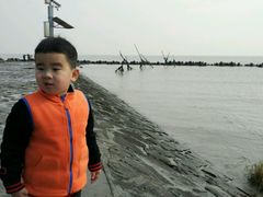 -南汇嘴观海公园