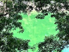 -广州市流溪河国家森林公园