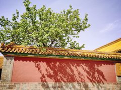 -故宫博物院(故宫)