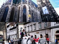 -斯蒂芬主教座堂(Stephansdom)