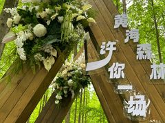 -黄海国家森林公园