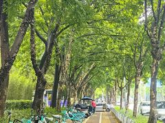 -科兴科学园