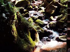 -赤水丹霞旅游区·佛光岩