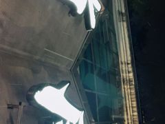 -有局·成都市井烧烤·精酿啤酒(双楠店)