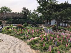 -里口山风景名胜区