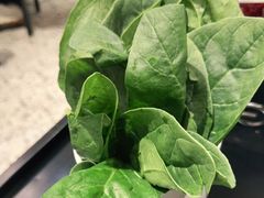 -八合里潮汕鲜牛肉火锅(上海汇智广场店)
