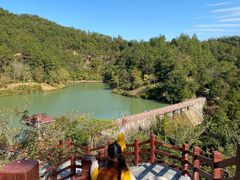 -广州白江湖森林公园