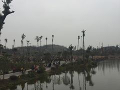 -枫香湖儿童公园