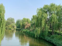-济南大明湖景区