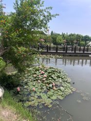 -太湖雪蚕桑文化园