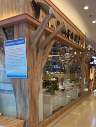 -卡通尼·Safari非洲探索乐园·生日会(金桥国际商业广场店)