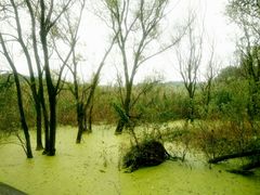 -西湖风景区-江洋畈生态公园