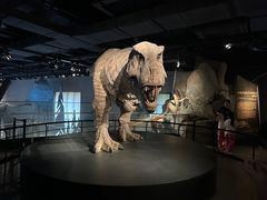 -浙江自然博物院(杭州馆)