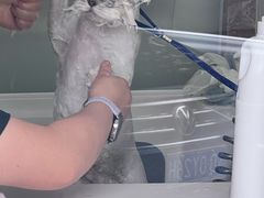 -宠颐生美多格动物医院骨科·影像科新北转诊中心(汉江路店)