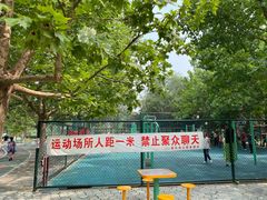 -莲花池公园