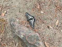 -北京鹫峰国家森林公园