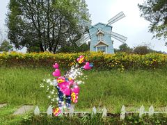 -铁山坪森林公园