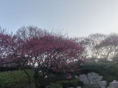 -重庆彩云湖湿地公园