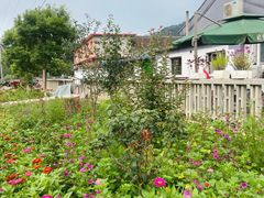 -白河湾山水缘民宿