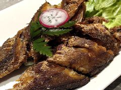 -老绍兴养和饭店(向阳不夜城店)