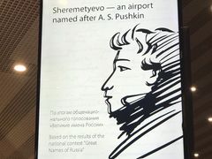-谢列梅捷沃国际机场