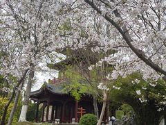 -堤角公园