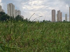 -前关湿地公园