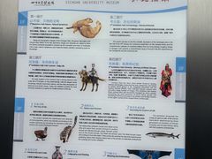 -四川大学博物馆