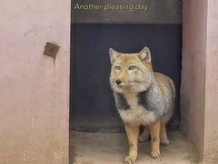 -青藏高原野生动物园