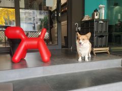 -NokNok Coffee(宽窄巷子店)
