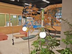 -帕帕拉兹宠物(亚洲旗舰店)