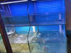 -面道赞宁海海鲜面(迎凤街店)